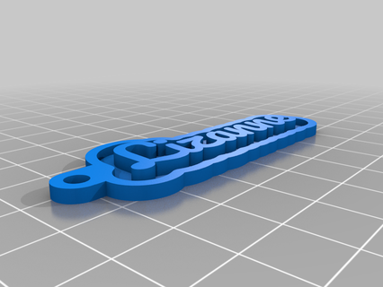 Eidechsen angepasst Schlüsselanhänger 3d print model - Mito3D