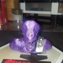 lizar warrior bust various animal lizard 3d print model - Mito3D
