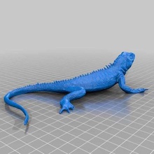 Eidechse Spiel Tiere dragon bärtige 3d print model - Mito3D