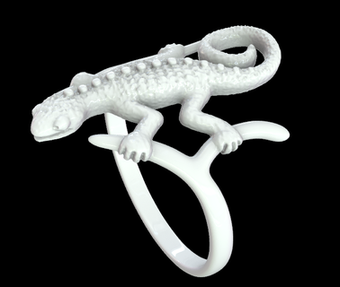 lizard ring unique fascinating adaptations biodiversity animal kingdom natural world 3d print model - Mito3D