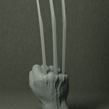 Logan Klaue 3d print model - Mito3D