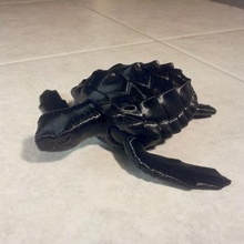 tortue caouanne articulés jeu animal haute résolution les joints jouet animaux 3d print model - Mito3D