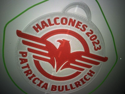 logo halcones 2023 bullrich llavero política 3d print model - Mito3D