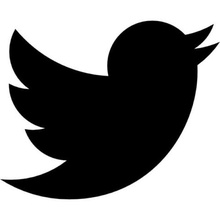il logo di twitter vari bird blu 3d print model - Mito3D