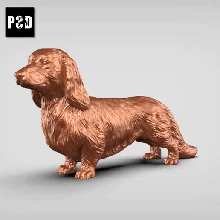 dai capelli bassotto v1 arte cane animale giocattolo domestico figurine 3d print model - Mito3D
