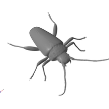 longhorn escarabajo Arte insecto animal salvaje fauna figurilla 3d print model - Mito3D