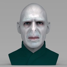 lord voldemort bust ready full color 3d printing gadget radcliffe jk rowling hermione ron weasley dumbledore movie statue figurine miniature harry potter 3d print model - Mito3D