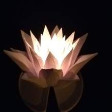 lotus art l'eau lis décoration bougie 3d print model - Mito3D