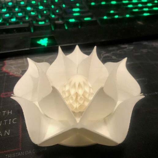 lotus egg art 3D print model - Mito3D