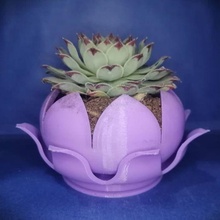 lotus flower pot 3d print model - Mito3D