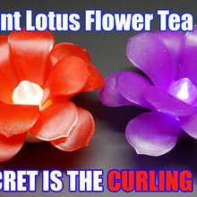 lotus flower tea light home decor tealight curling iron 3d print model - Mito3D