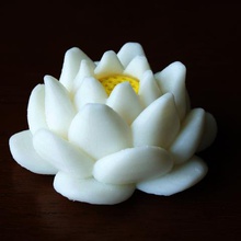 lotus flower gadget 3d print model - Mito3D