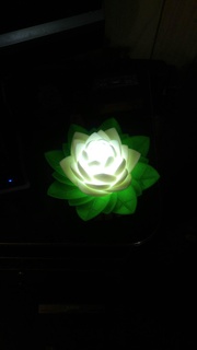 lotus lampe 3d print model - Mito3D