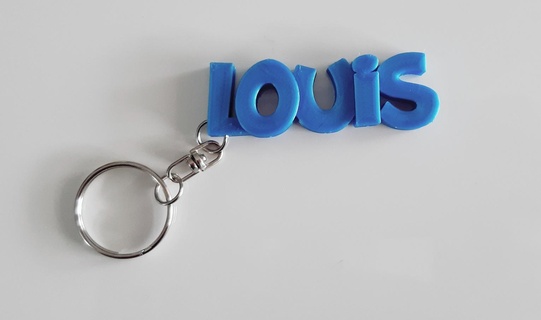 Louis anahtar yüzük anahtarlar 3d print model - Mito3D