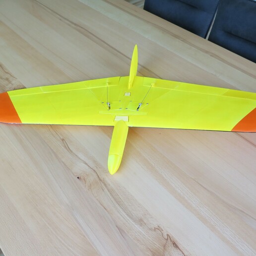loulou 3d stampato dlg rc aliante aereo 3D print model - Mito3D