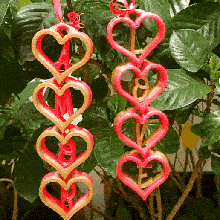 love chain print-in-place valentine amor decoration valentin 3d print model - Mito3D