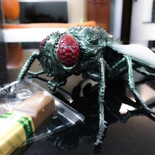 lovely fly art realistic animal 3d print model - Mito3D
