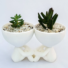 encantador robert plantador namorados doble planta suculento fofa 3d print model - Mito3D