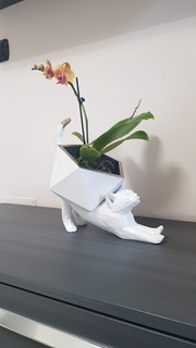 poli gato vaso plantar plantas Panela natureza Relva flor alongamento presente modelo 3d print model - Mito3D