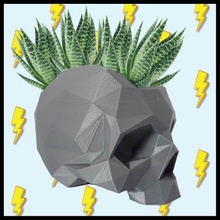 low poly moicano crânio de plantio a casa skullplanter plantadeira lowpoly mohawk 3d print model - Mito3D