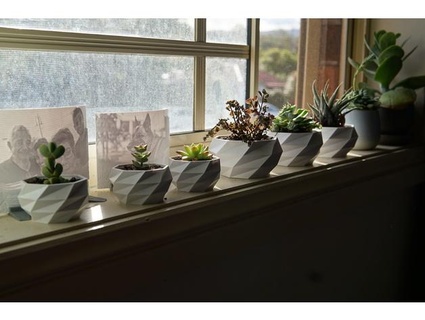 low poly planter plant pot 3d print model - Mito3D