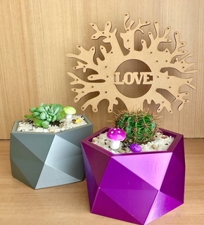 niedrig poly Topf Hexagon Modell Zuhause Haus Pflanzen Sukkulenten Kaktus Design Innenräume 3d print model - Mito3D