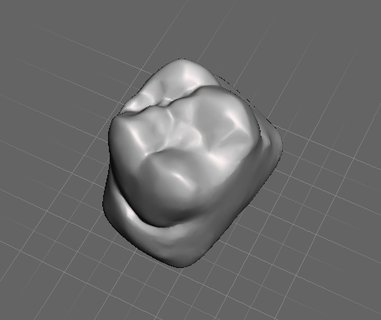 lower right second premolar 26 cad cam virtual tooth teeth 3d print model - Mito3D