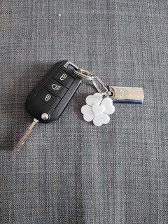 şanslı anahtar yüzük cazibe şans Aşk Hediyeler 3d print model - Mito3D