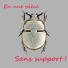 fortunato scarabeo vari insetto deco portafortuna collezione beetle animale art giocattolo 3d print model - Mito3D
