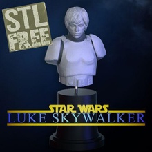 Luke skywalker buste 3d print model - Mito3D