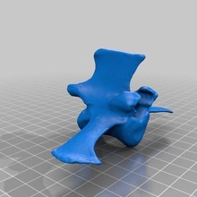 lombar vértebra jogos osso bovino vaca mamífero coluna animais 3d print model - Mito3D
