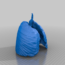 poumons tomographie biologie 3d print model - Mito3D