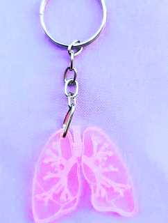 polmoni chiave anelli polmone portachiavi polmonare arte giocattoli corpo umano respirazione vita 3d print model - Mito3D