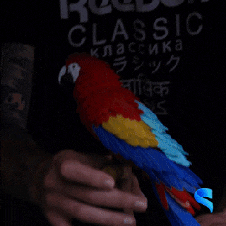 macaw piuma puzzle uccello animale giungla divertimento 3d print model - Mito3D