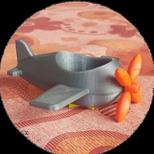 Maceta Avion Spielzeug einfach Pflanze 3d print model - Mito3D
