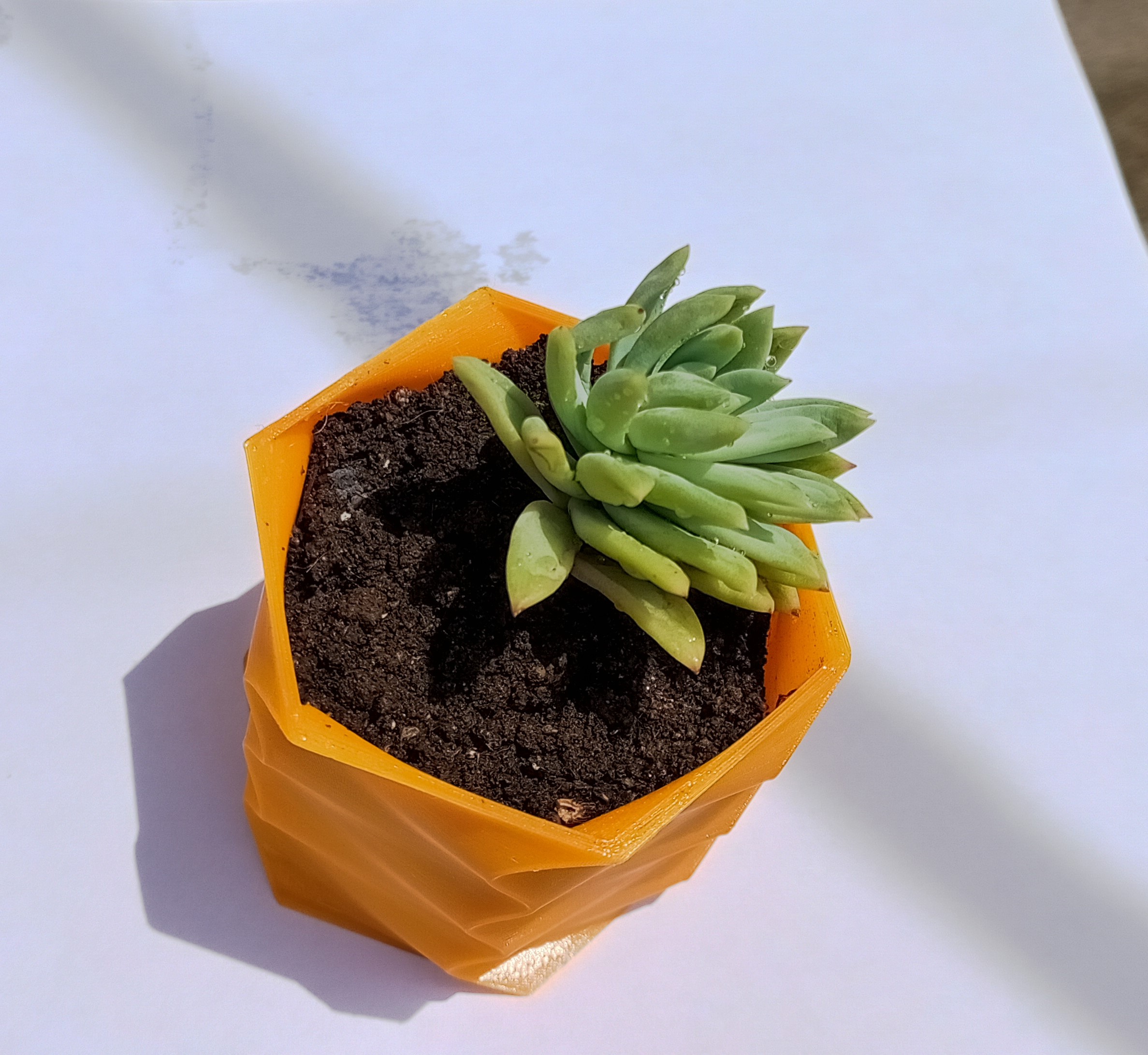 maceta eğriler decoraci n planta plantas oficina escritorio konteyner 3D print model - Mito3D