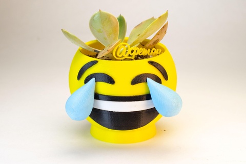 maceta emoji rire cadeau pot cactus succulentes l'amour étoile surprise baiser 3d print model - Mito3D