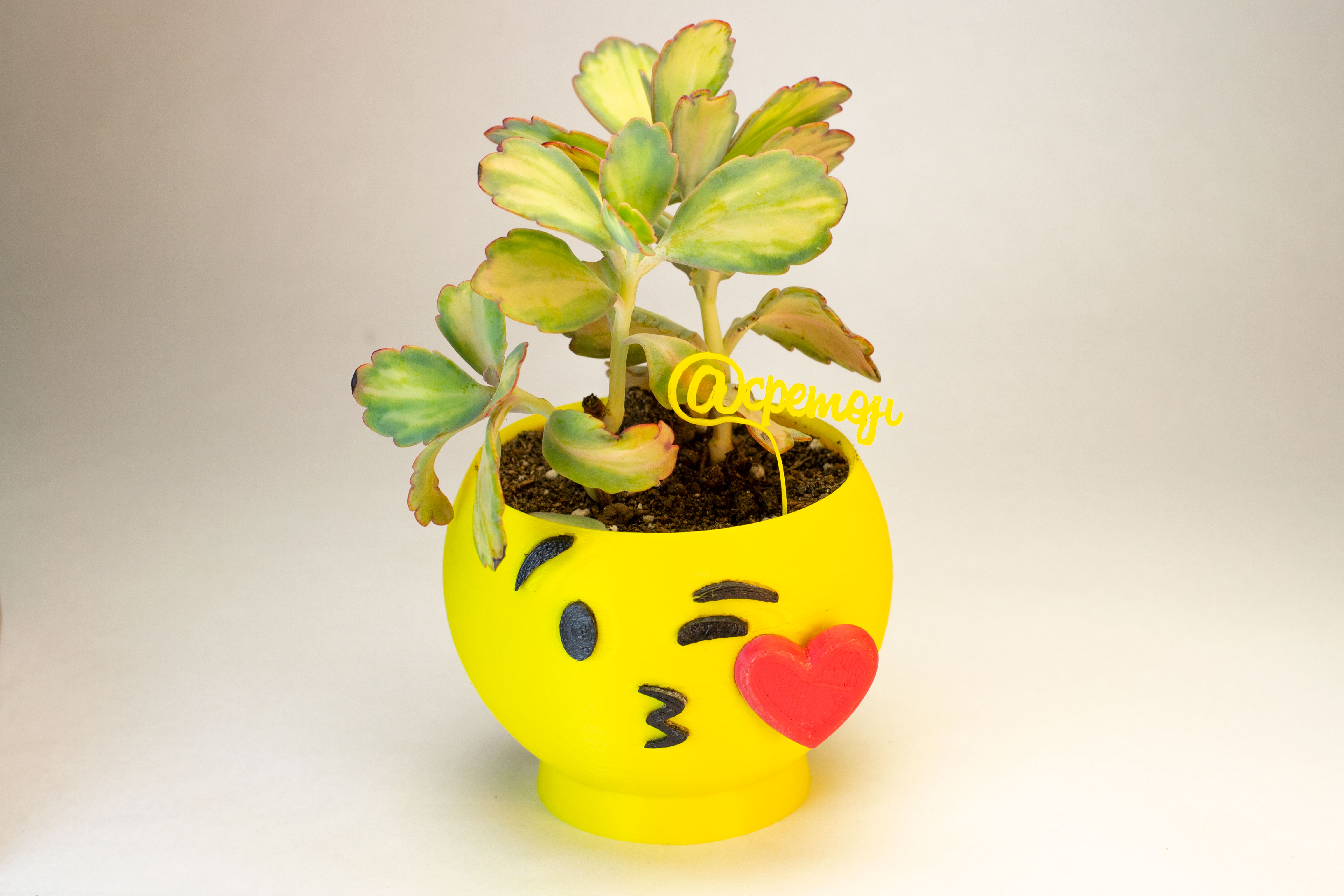 maceta emoji love kiss pot cactus succulents star 3D print model - Mito3D