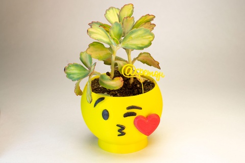 maceta emoji love love kiss pot emoji cactus succulents love love star star kiss  3d print model - Mito3D