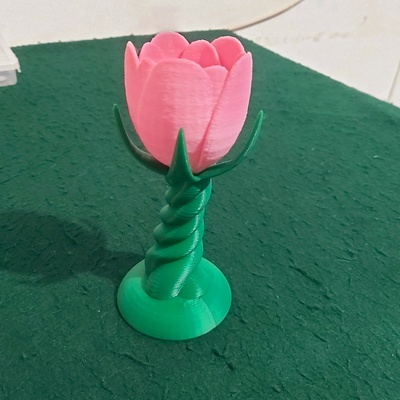 maceta forma de tulpe tulip shaped topf zuhause haus flor blume dekoracion dekoration plantas pflanzen 3d print model - Mito3D