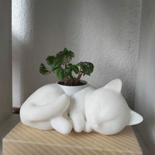 maceta gato dormire gatto pianta pentola animale fiore 3D print model - Mito3D