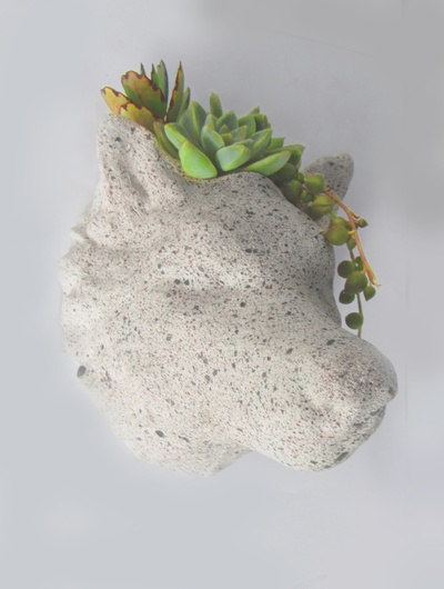 maceta lobo suculento jugoso florero plantas gratis jardín terraza balcón primavera verano 3d print model - Mito3D