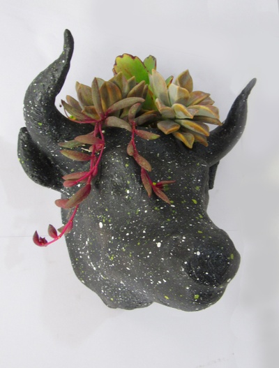 maceta toro suculento jugoso florero plantas gratis jardín terraza balcón 3d print model - Mito3D