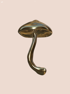 magic mushroom fungus nature psychedelic 3d print model - Mito3D