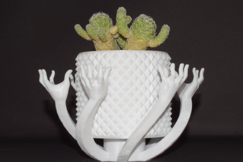 mágico Panela natureza mão casa prático flor vela suporte lápis joalheria chocolate chave 3d print model - Mito3D