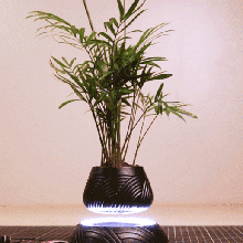 a levitazione magnetica, in vaso, modo semplice casa arredamento il vaso magnetico 3d print model - Mito3D
