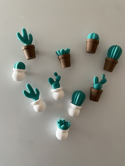 magnéto réfrigérateur succulent planteur art plante aimant 3d print model - Mito3D