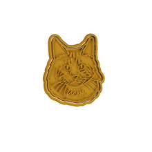 gato de coon maine cortador galletas casa cookie cat el estado 3d print model - Mito3D