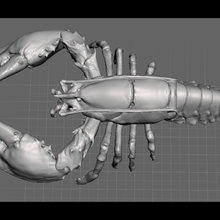 maine style de homard divers modèle manger fruits mer du poisson animal le 3d print model - Mito3D