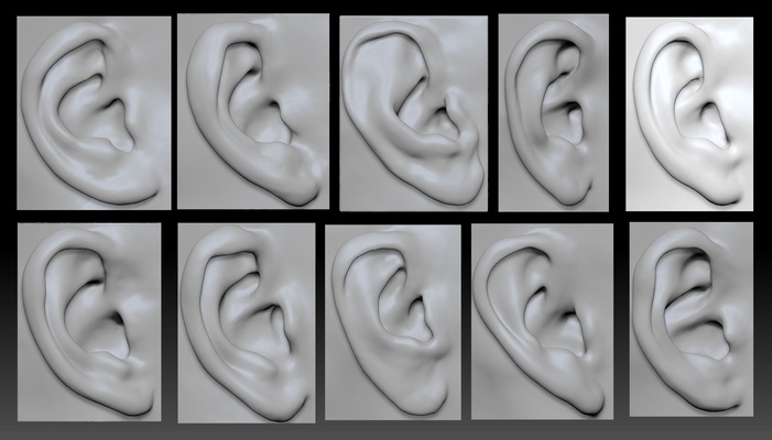 maschio femail orecchio bundle arte zbrush carattere design femmina modellazione figura miscelatore hd 3d print model - Mito3D